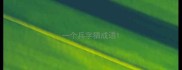 一个兵字猜成语
