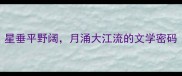 星垂平野阔月涌大江流的文学密码