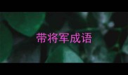 带将军成语
