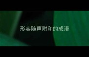 形容随声附和的成语