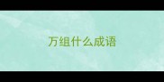 万组什么成语
