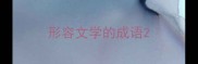 形容文学的成语