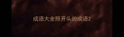 成语大全照开头的成语