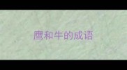 鹰和牛的成语