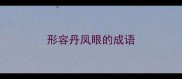 形容丹凤眼的成语