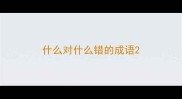 什么对什么错的成语