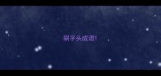 刷字头成语