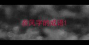 在风字的成语