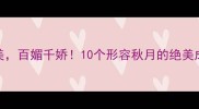秋月之美百媚千娇10个形容秋月的绝美成语及意境