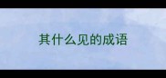 其什么见的成语