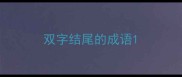双字结尾的成语