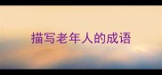 描写老年人的成语