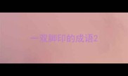 一双脚印的成语