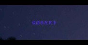 成语乐在其中