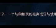 鸡犬不宁一个与狗相关的经典成语与使用指南