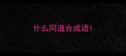 什么同道合成语