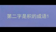 第二字是积的成语