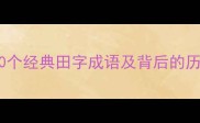 猜成语田字谜大10个经典田字成语及背后的历史故事附答案