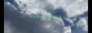 什么有什么有成语大全