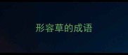 形容草的成语
