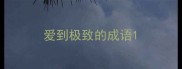 爱到极致的成语