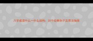 六字成语什么一什么结构20个经典例子及用法指南