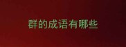 群的成语有哪些