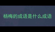 杨梅的成语是什么成语