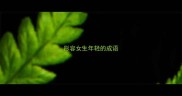 形容女生年轻的成语