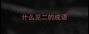 什么见二的成语