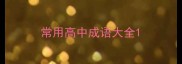 常用高中成语大全
