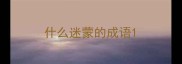 什么迷蒙的成语