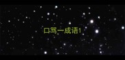 口骂一成语
