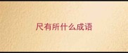 尺有所什么成语