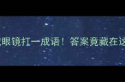 谐音梗大瞎子戴眼镜打一成语答案竟藏在这三个字里