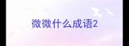 微微什么成语