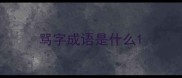 骂字成语是什么