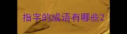 指字的成语有哪些
