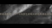 绿草成语推荐15个与自然生机相关的经典表达及实用