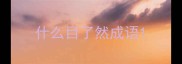 什么目了然成语