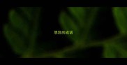 思危的成语