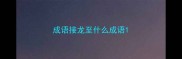 成语接龙至什么成语