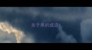 关于果的成语