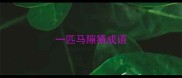 一匹马隙猜成语