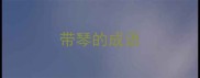 带琴的成语