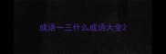 成语一三什么成语大全