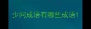 少问成语有哪些成语