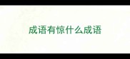 成语有惊什么成语