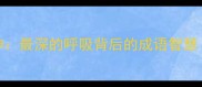 屏息凝神最深的呼吸背后的成语智慧深度