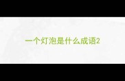 一个灯泡是什么成语